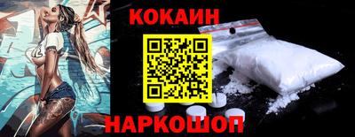крисы Моздок