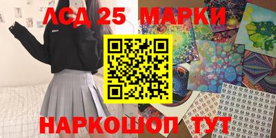 крисы Моздок