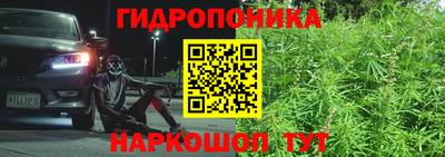 молекула духа Можайск