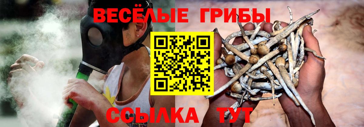 сколько стоит  Галлюциногенные грибы Psilocybine cubensis  Вязники  Вход с VPN  Псилоцибиновые грибы Cubensis 